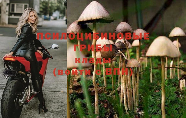 каннабис Ладушкин