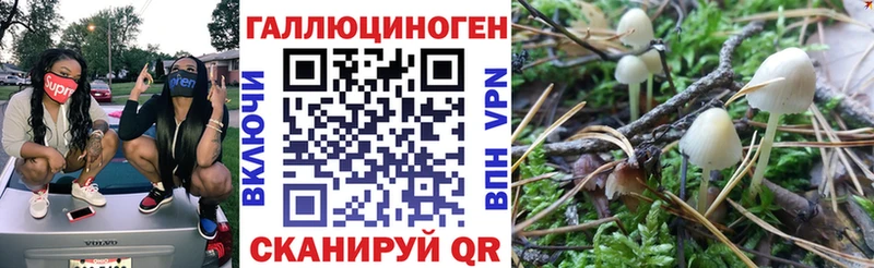 Галлюциногенные грибы Magic Shrooms  гидра как зайти  Электрогорск 