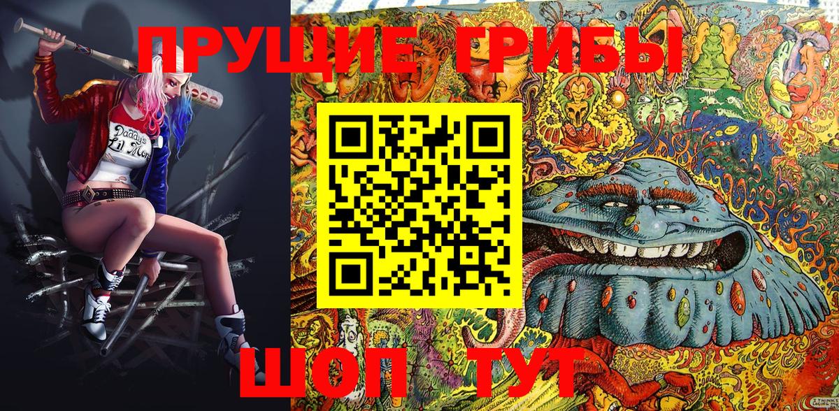 Электрогорск  Псилоцибиновые грибы Magic Shrooms  Вход с VPN  Галлюциногенные грибы Psilocybe 