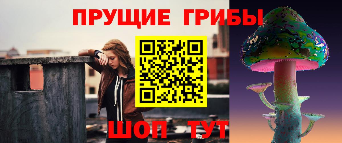 Галлюциногенные грибы мицелий Электрогорск