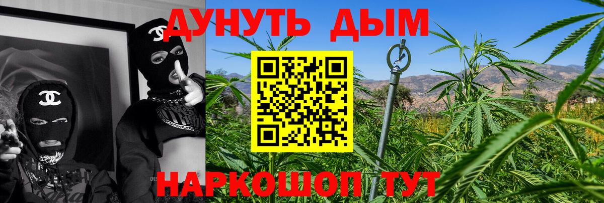 Бошки Шишки тримм  Бошки Шишки ГИДРОПОН  Электрогорск  Вход с VPN  Шишки марихуана LSD WEED 